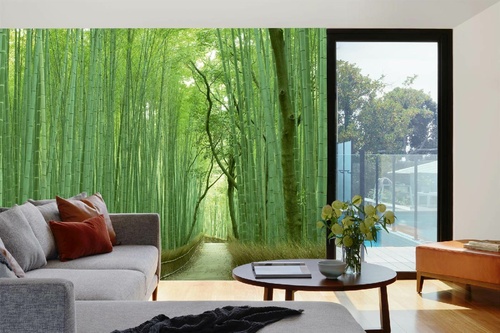 Vlies Fototapete - Pfad durch einen Bambuswald 375 x 250 cm